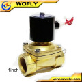 1inch 12v / 24v / 220v / 230v Spule Solenoid Wasserventil normal schließen / offen G / NPT 0 ~ 10bar